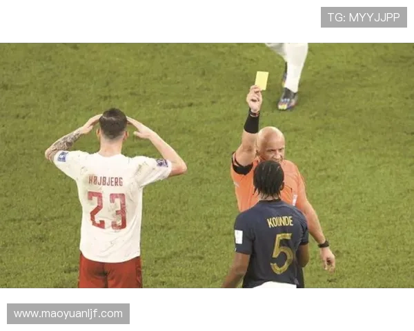 点球判罚争议背后的规则博弈与裁判尺度之辩引发赛场公平性质疑 - 副本 - 副本 (3)