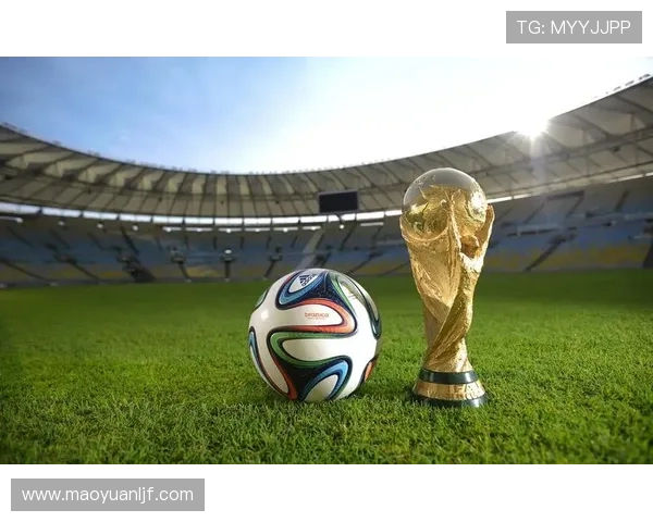 聚焦世界杯死亡之组形势前瞻与出线格局深度预测强队博弈全景解析 - 副本 (5) - 副本 - 副本