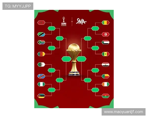 非洲杯赛程最新动态：各队备战情况与热门球员分析 - 副本 (3)