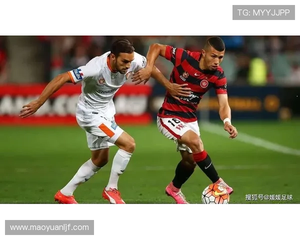 尽享全球精彩赛事即时比分与精彩集锦的足球互动平台