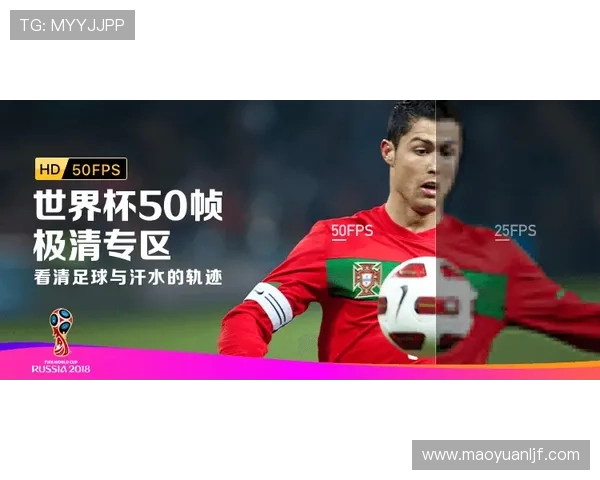 世界杯高清直播在线观看平台最新赛事全程无广告观看指南