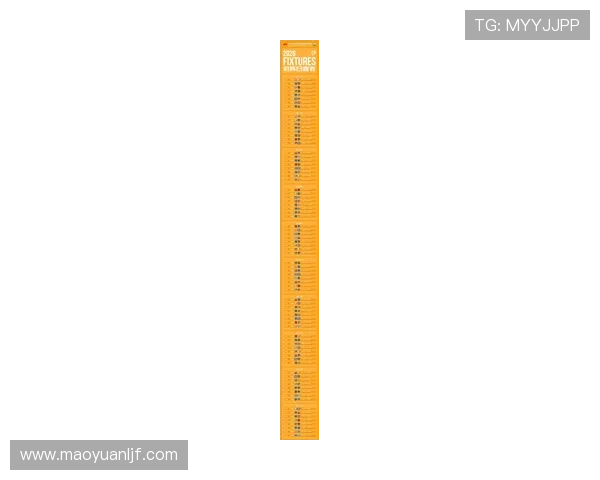中甲联赛最新赛程揭晓各队冲刺升级形势分析 - 副本 (2)